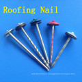 Colorido Roofing Nail con la cabeza del paraguas